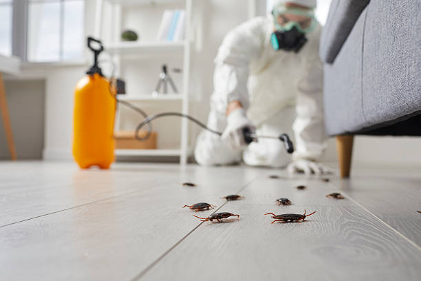 Commercial Kitchen Cockroach Control in Farmington Hills